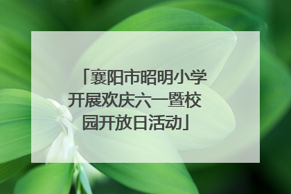 襄阳市昭明小学开展欢庆六一暨校园开放日活动