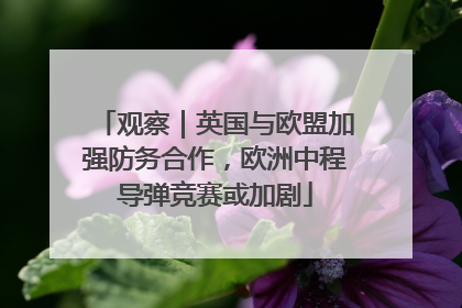 观察｜英国与欧盟加强防务合作，欧洲中程导弹竞赛或加剧