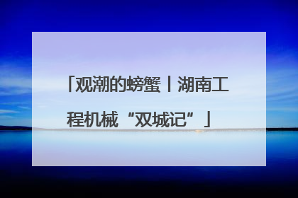 观潮的螃蟹丨湖南工程机械“双城记”