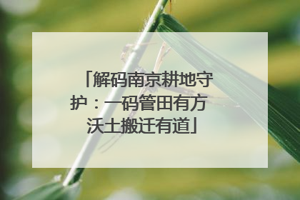 解码南京耕地守护：一码管田有方 沃土搬迁有道