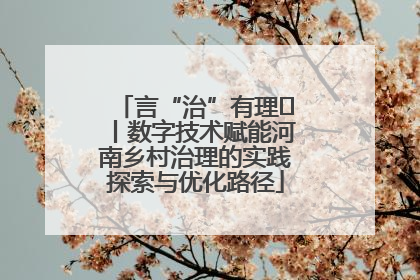 言“治”有理⑪丨数字技术赋能河南乡村治理的实践探索与优化路径