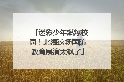 迷彩少年燃爆校园！北海这场国防教育展演太飒了