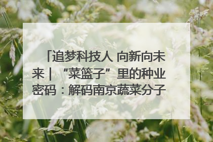 追梦科技人 向新向未来｜“菜篮子”里的种业密码：解码南京蔬菜分子育种的创新之路