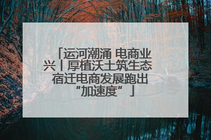 运河潮涌 电商业兴丨厚植沃土筑生态 宿迁电商发展跑出“加速度”