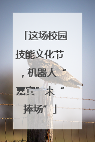 这场校园技能文化节，机器人“嘉宾”来“捧场”