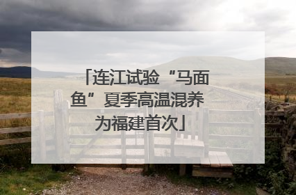 连江试验“马面鱼”夏季高温混养 为福建首次