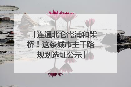 连通北仑霞浦和柴桥！这条城市主干路规划选址公示