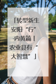 转型新生安阳“行”·内黄篇丨农业县有“大智慧”