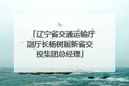 辽宁省交通运输厅副厅长杨树履新省交投集团总经理