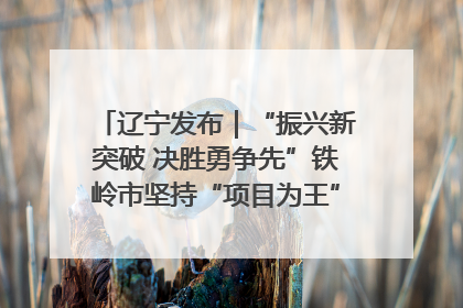 辽宁发布｜“振兴新突破 决胜勇争先”铁岭市坚持“项目为王”推进经济高质量发展