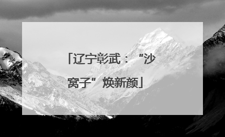 辽宁彰武：“沙窝子”焕新颜