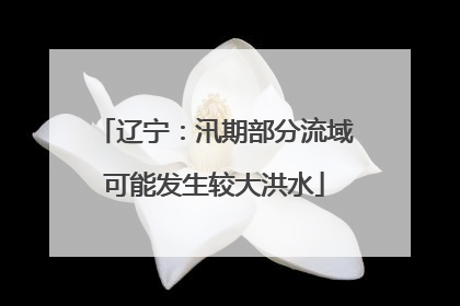辽宁：汛期部分流域可能发生较大洪水