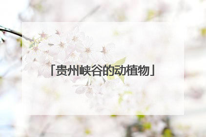 贵州峡谷的动植物