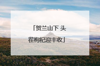 贺兰山下 头茬枸杞迎丰收