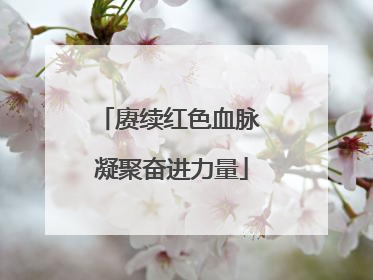 赓续红色血脉 凝聚奋进力量
