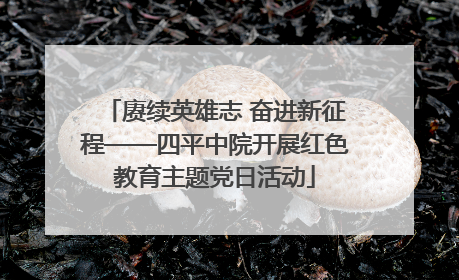 赓续英雄志 奋进新征程——四平中院开展红色教育主题党日活动