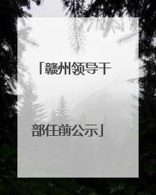 赣州领导干部任前公示