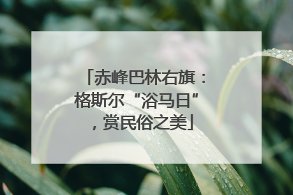 赤峰巴林右旗：格斯尔“浴马日”，赏民俗之美