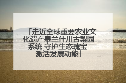 走近全球重要农业文化遗产皋兰什川古梨园系统 守护生态瑰宝 激活发展动能