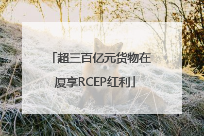 超三百亿元货物在厦享RCEP红利