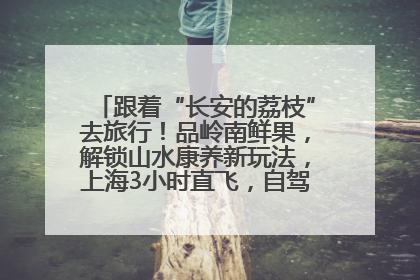 跟着“长安的荔枝”去旅行！品岭南鲜果，解锁山水康养新玩法，上海3小时直飞，自驾高速费优惠
