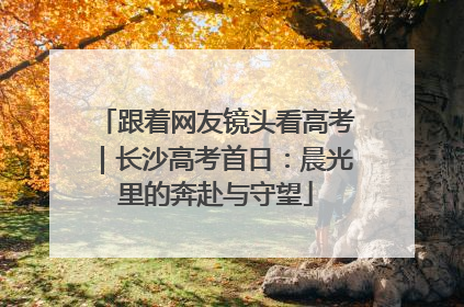 跟着网友镜头看高考｜长沙高考首日：晨光里的奔赴与守望