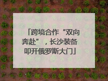 跨境合作“双向奔赴”，长沙装备叩开俄罗斯大门
