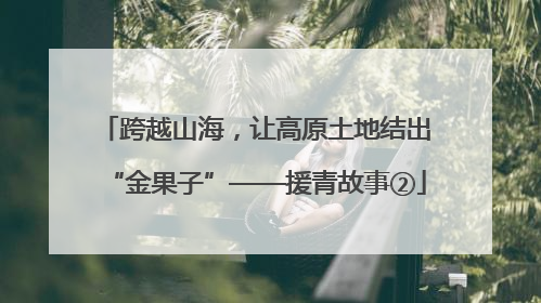 跨越山海，让高原土地结出“金果子”——援青故事②
