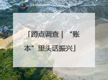 蹲点调查｜“账本”里头话振兴