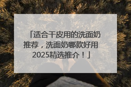 适合干皮用的洗面奶推荐，洗面奶哪款好用2025精选推介！