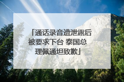 通话录音遭泄露后被要求下台 泰国总理佩通坦致歉