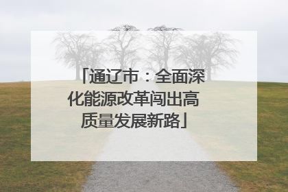 通辽市：全面深化能源改革闯出高质量发展新路