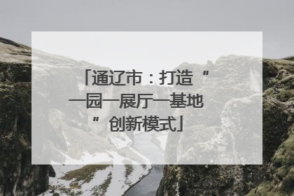 通辽市：打造“一园一展厅一基地”创新模式