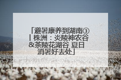避暑康养到湖南③丨株洲：炎陵神农谷&茶陵花湖谷 夏日消暑好去处