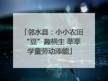 邻水县：小小农田“豆”趣横生 莘莘学童劳动添能