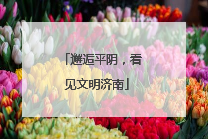 邂逅平阴，看见文明济南