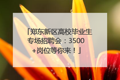 郑东新区高校毕业生专场招聘会：3500+岗位等你来！