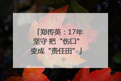 郑传英：17年坚守 把“伤口”变成“责任田”
