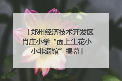 郑州经济技术开发区肖庄小学“面上生花小小非遗馆”揭幕