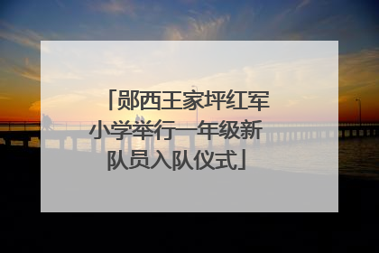 郧西王家坪红军小学举行一年级新队员入队仪式