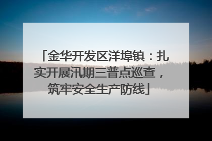 金华开发区洋埠镇：扎实开展汛期三普点巡查，筑牢安全生产防线