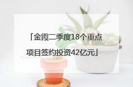 金霞二季度18个重点项目签约投资42亿元