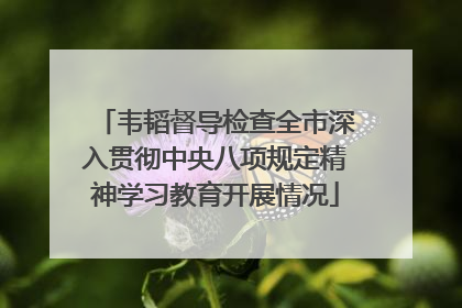 韦韬督导检查全市深入贯彻中央八项规定精神学习教育开展情况