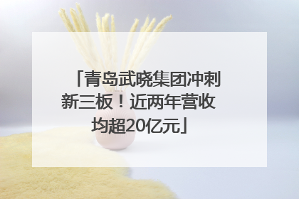青岛武晓集团冲刺新三板！近两年营收均超20亿元