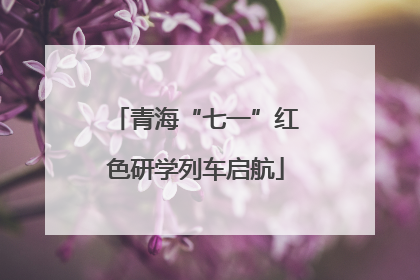 青海“七一”红色研学列车启航