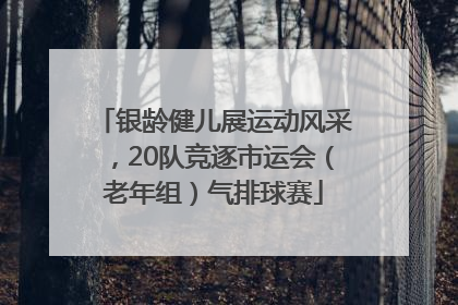 银龄健儿展运动风采，20队竞逐市运会（老年组）气排球赛