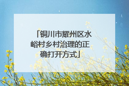 铜川市耀州区水峪村乡村治理的正确打开方式