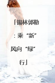锡林郭勒：乘“新”风向“绿”行