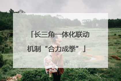 长三角一体化联动机制“合力成拳”