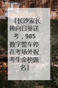 长沙家长捧向日葵送考，985数字警车停在考场外祝考生金榜题名